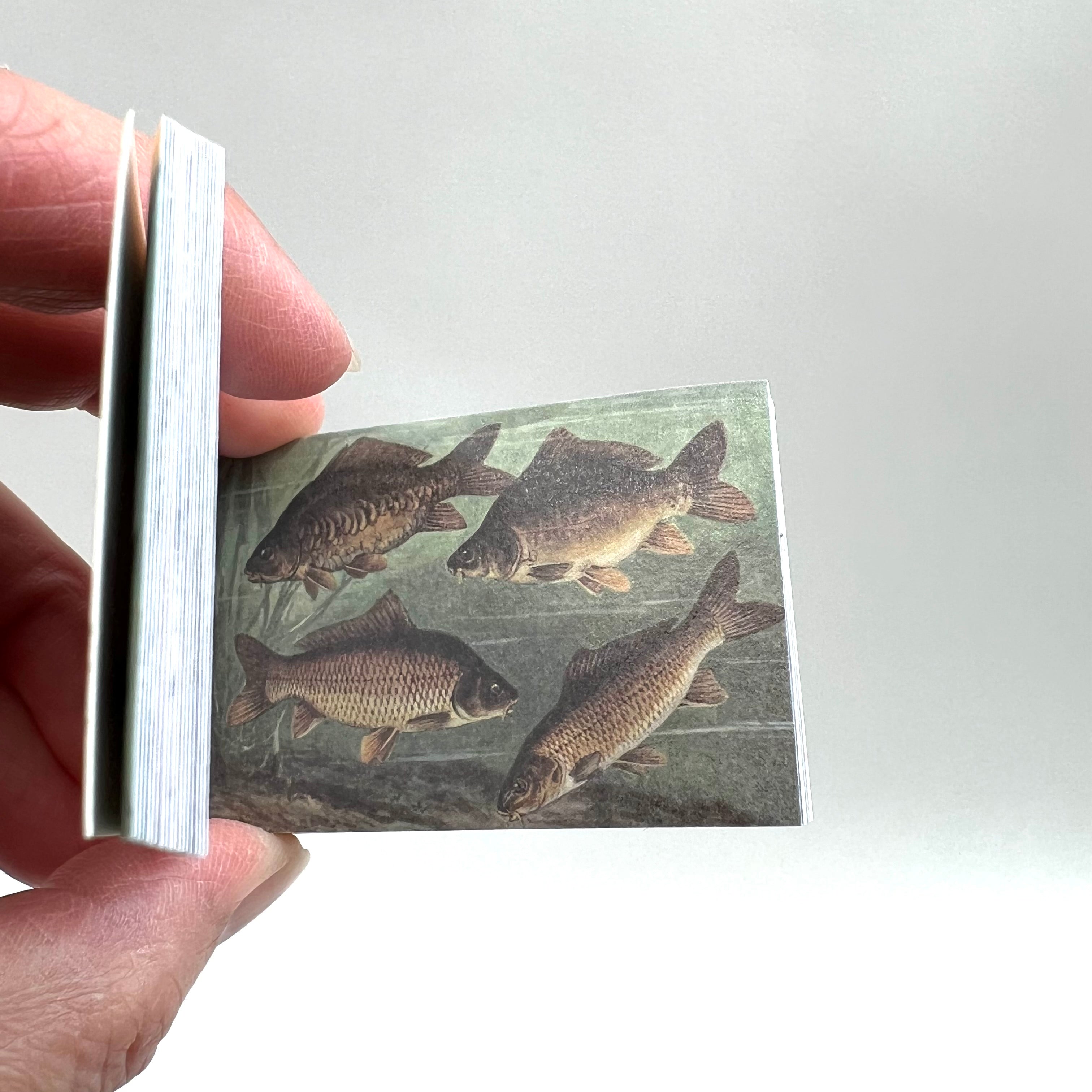Vintage Style Sea Life Washi Paper Sticker Book