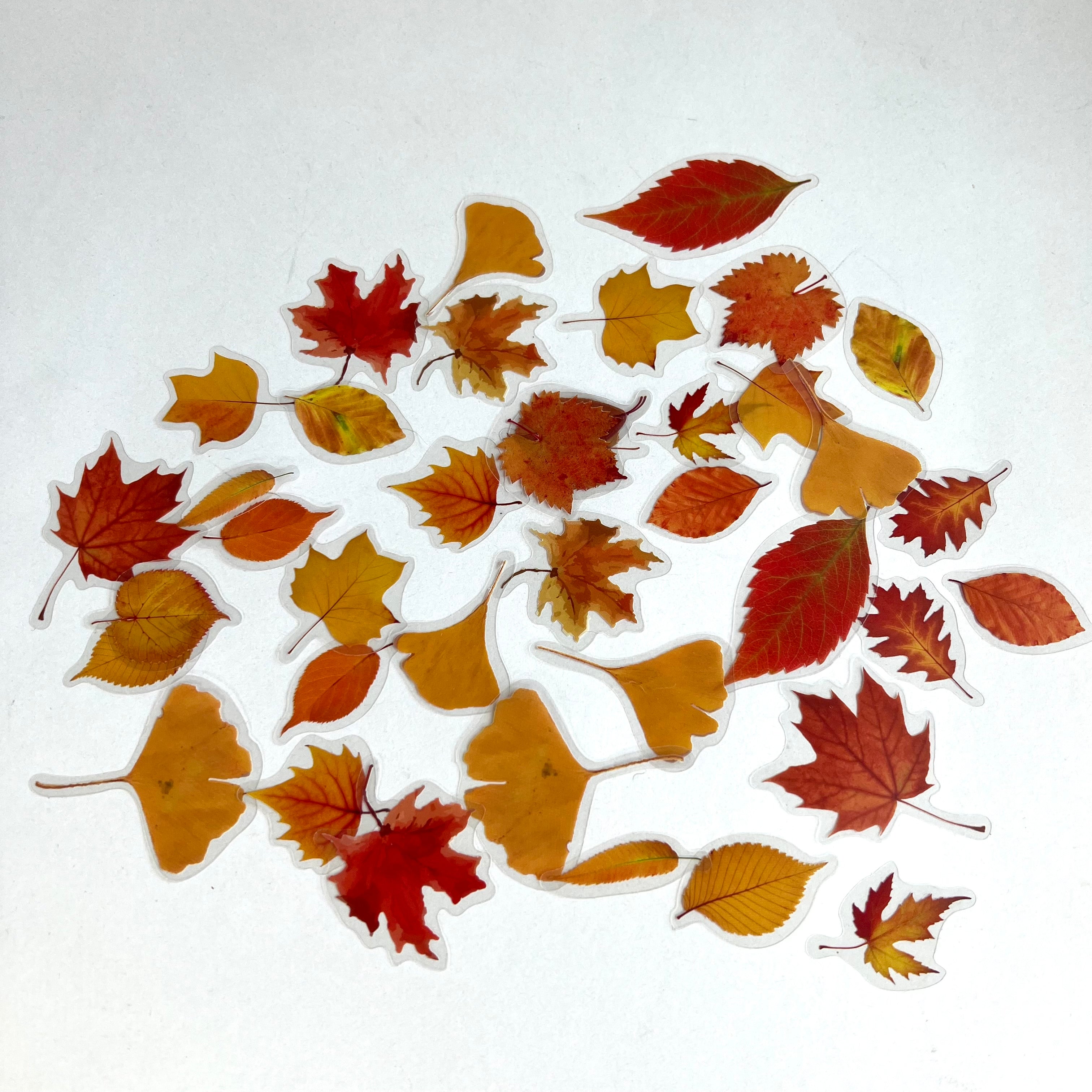 Fall Leaf Stickers