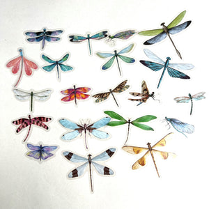 Pretty Dragonfly Stickers
